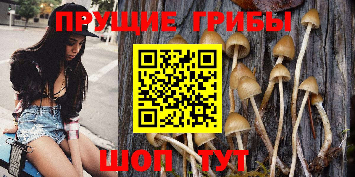 Богородск  Галлюциногенные грибы MAGIC MUSHROOMS  Вход с VPN  Псилоцибиновые грибы GOLDEN TEACHER 